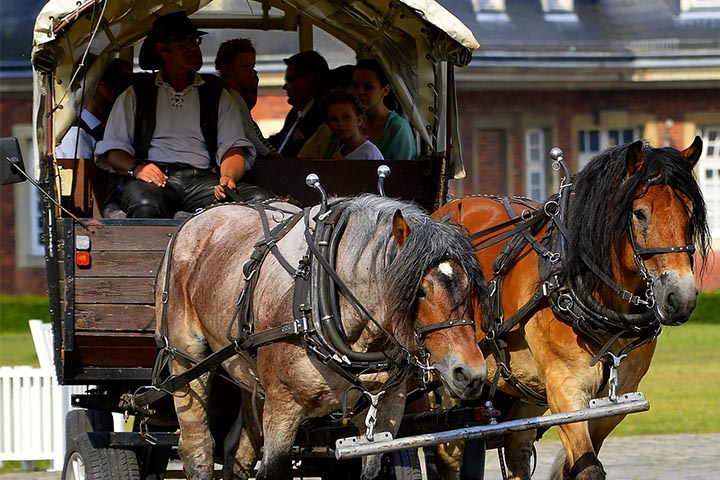 Unique Horse Drawn Wagon Ornaments for Gardens